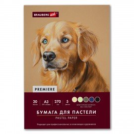 Бумага для пастели ФАКТУРНАЯ А3 в папке, 20 листов 5 цветов, 270 г/м2, BRAUBERG ART,, 117756