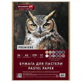 Бумага для пастели ФАКТУРНАЯ А3 в коробке, 36 листов 12 цветов, 270 г/м2, BRAUBERG AR, 117760