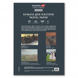 Бумага для пастели АБРАЗИВНАЯ А3 в папке, 20 листов 5 цветов, 240 г/м2, BRAUBERG ART, 117764