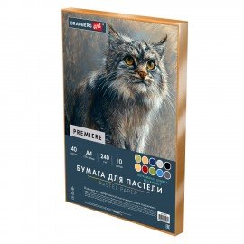Бумага для пастели АБРАЗИВНАЯ А4 в коробке, 40 листов 8 цветов, 240 г/м2, BRAUBERG AR, 117767