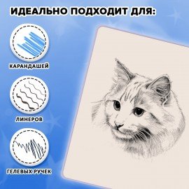 Скетчбук, слоновая кость 140г/м 130х210мм, 80л, софт-тач, резинка, наклейки, FUNSTER, "Черный котик", 117781