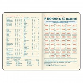 Ежедневник датированный 2027 B6 125х173мм GALANT Vivid, под кожу, розовый, 117862