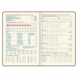 Ежедневник датированный 2027 B6 125х173мм GALANT Vivid, под кожу, розовый, 117862