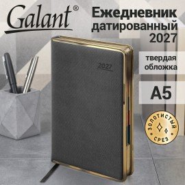 Ежедневник датированный 2027 А5 148х218 мм, GALANT "Infinity Gold", под кожу, серый, 118062