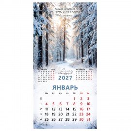 Календарь настенный перекидной 2027г, BRAUBERG, 12 листов, 28,5х28,5см, "Вселенная", 118412