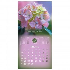 Календарь настенный перекидной 2027г, BRAUBERG, 12 листов, 28,5х28,5 см, "Floral", 118425