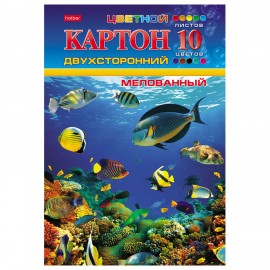 Картон цветной А4 2-сторонний МЕЛОВАННЫЙ, 10л. 10цв, в папке, HATBER, 195х280мм Подво, 10Кц4_04109