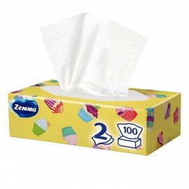 Салфетки косметические 100 штук в картонном боксе, 2-слойные, ZEWA Everyday, 24516, 6286