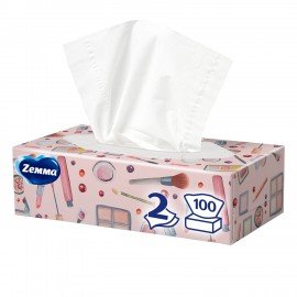 Салфетки косметические 100 штук в картонном боксе, 2-слойные, ZEWA Everyday, 24516, 6286