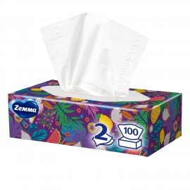 Салфетки косметические 100 штук в картонном боксе, 2-слойные, ZEWA Everyday, 24516, 6286