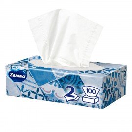 Салфетки косметические 100 штук в картонном боксе, 2-слойные, ZEWA Everyday, 24516, 6286