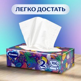 Салфетки косметические 100 штук в картонном боксе, 2-слойные, ZEWA Everyday, 24516, 6286