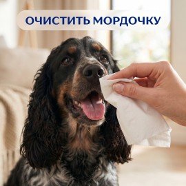 Салфетки косметические 100 штук в картонном боксе, 2-слойные, ZEWA Everyday, 24516, 6286