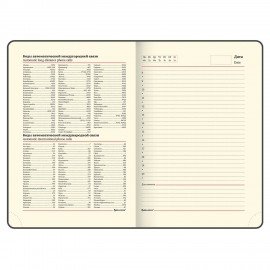 Ежедневник недатированный А5 138х213 мм BRAUBERG "Iguana" под кожу, 160 л., красный, 125092