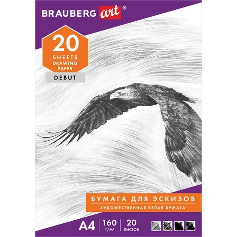 Папка для рисования А4, 20 л., 160 г/м2, BRAUBERG, 210х297 мм, "Орел", 125230