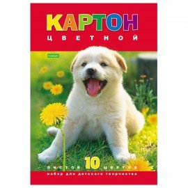 Картон цветной А4 МЕЛОВАННЫЙ, 10 листов 10 цветов, в папке, HATBER VK, 195х290 мм, "Белый щенок", 10Кц4 03414, N217276