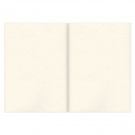 Скетчбук, слоновая кость 100 г/м2, 148х210 мм, 120 л., прошивка, BRAUBERG ART CLASSIC, 128961