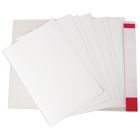 Картон белый А4 немелованный (матовый), 8 листов, в папке, BRAUBERG, 200х290 мм, "Барсик 1", 129902