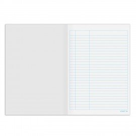 Книга учета 48 л., пустографка, обложка из мелованного картона, блок офсет, (А4 200х290 мм), STAFF, 130212