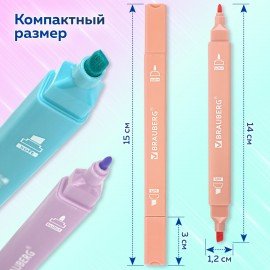 Набор текстовыделителей двусторонних 6 ПАСТЕЛЬНЫХ ЦВЕТОВ, BRAUBERG "Macaroon", линия 1-5 мм, 152513