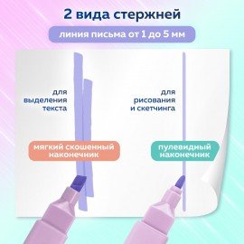 Набор текстовыделителей двусторонних 6 ПАСТЕЛЬНЫХ ЦВЕТОВ, BRAUBERG "Macaroon", линия 1-5 мм, 152513