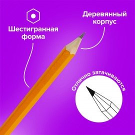 Карандаши чернографитные простые с ластиком HB, ВЫГОДНАЯ УПАКОВКА КОМПЛЕКТ 12 штук, BRAUBERG, 180635
