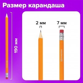Карандаши чернографитные простые с ластиком HB, ВЫГОДНАЯ УПАКОВКА КОМПЛЕКТ 12 штук, BRAUBERG, 180635