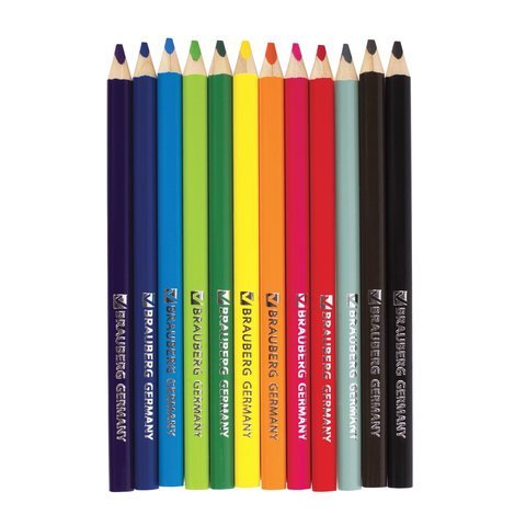 Карандаши цветные утолщенные BRAUBERG, 12 цветов, трехгранные, картонная упаковка, 180836