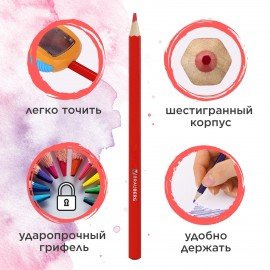 Карандаши цветные акварельные BRAUBERG "АКАДЕМИЯ", 24 цвета, шестигранные, грифель 3 мм, натуральное дерево, 181400