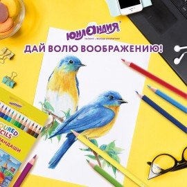 Карандаши цветные ЮНЛАНДИЯ "ДОМИКИ", 36 цветов, шестигранные, грифель 3 мм, 181839