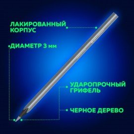 Карандаши цветные BRAUBERG METALLIC, 12 цветов металлик, трехгранные, грифель 3 мм, черное дерево, 181853