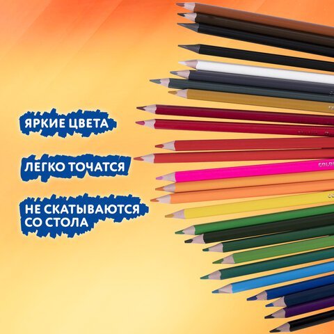 Карандаши цветные пластиковые, BRAUBERG PREMIUM 24 цвета + 2 чернографитных карандаша, 181937
