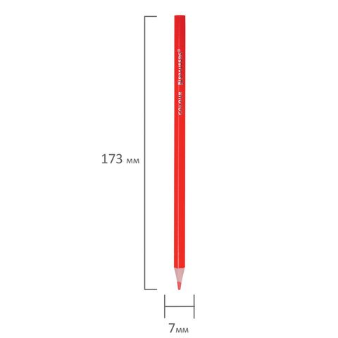 Карандаши цветные BRAUBERG KIDS, 24 цвета, трехгранный корпус, грифель мягкий 3 мм, 181944