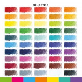 Карандаши цветные BRAUBERG KIDS, 50 цветов, трехгранные, грифель 3 мм, 181946