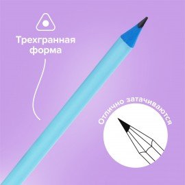 Набор карандашей чернографитных с ластиком BRAUBERG "PASTEL" 12 шт., HB, 181997