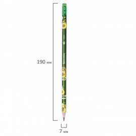Набор карандашей чернографитных BRAUBERG "AVOCADO", 12 штук, HB, с ластиком, 182032