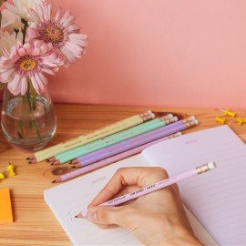 Карандаш чернографитный BIC, 1 шт., "Evolution Pastel", HB, с ластиком, корпус ассорти, 518306