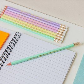 Карандаш чернографитный BIC, 1 шт., "Evolution Pastel", HB, с ластиком, корпус ассорти, 518306