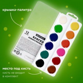 Краски акварельные BRAUBERG 12 цветов "Кот-Энтузиаст", медовые, круглые кюветы, 192553