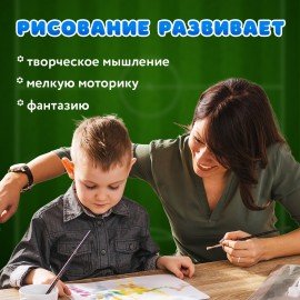 Краски акварельные BRAUBERG 12 цветов "Футбол", медовые, круглые кюветы, 192565