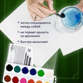 Краски акварельные BRAUBERG 12 цветов "Футбол", медовые, круглые кюветы, 192565