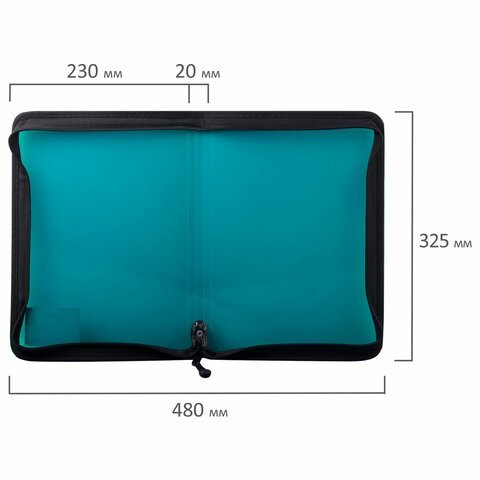 Папка на молнии пластиковая BRAUBERG "Income", А4, 325х230 мм, тонированная, 3 цвета ассорти, 224055