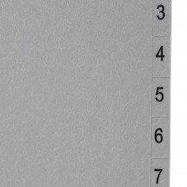 Разделитель пластиковый BRAUBERG, А4, 12 листов, цифровой 1-12, оглавление, серый, РОССИЯ, 225596