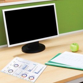 Папки-файлы перфорированные А4 STAFF "ЭКОНОМ", КОМПЛЕКТ 100 шт., матовые, 25 мкм, 226828