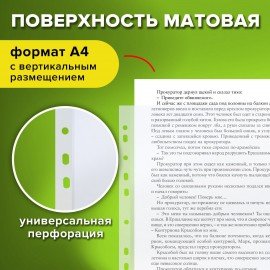 Папки-файлы перфорированные А4 STAFF "ЭКОНОМ", КОМПЛЕКТ 100 шт., матовые, 25 мкм, 226828