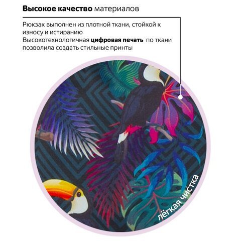 Рюкзак BRAUBERG СИТИ-ФОРМАТ универсальный, "Toucans", разноцветный, 41х32х14 см, 228847
