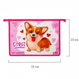 Папка для тетрадей ПИФАГОР А4, 1 отделение, картон, молния сверху, "KORGI", 229102