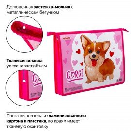 Папка для тетрадей ПИФАГОР А4, 1 отделение, картон, молния сверху, "KORGI", 229102