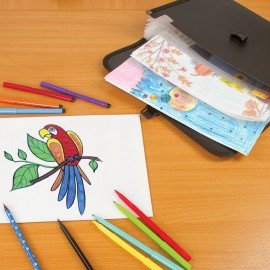 Папка для бумаг и документов с замком и 13 отделениями BRAUBERG "HIT", А4, пластик, черная, 229572