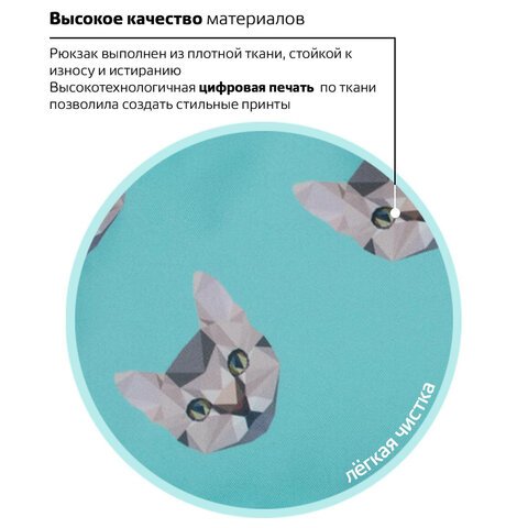 Рюкзак BRAUBERG СИТИ-ФОРМАТ универсальный, "Cats", голубой, 41х32х14 см, 229881